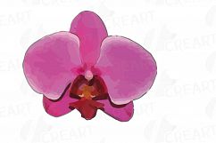 Colourful orchids watercolor clip art pack, leaves, flowers Product Image 10