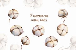 Watercolour Cotton clipart, branches winter watercolor Product Image 3