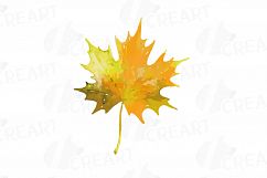 Autumn leafs watercolor clip art pack, watercolor fall frame Product Image 9
