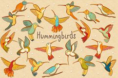 Hummingbirds Product Image 1