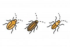 Cockroach icons set vector flat Product Image 1