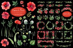 Poppies and wild plants Product Image 2