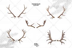 Christmas Antlers Watercolor Clipart Product Image 6