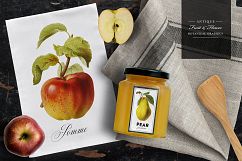 Antique Fruit &amp; Flowers Graphics Product Image 12