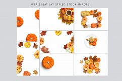 Autumn roses flat lay stock photos Product Image 5
