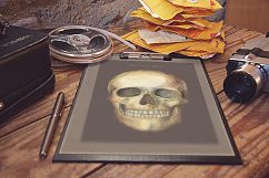 Watercolor skull, Halloween floral clipart Product Image 7