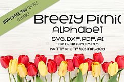 Breezy Picnic Alphabet SVG Cut Files Product Image 1