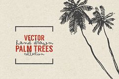 227 hand drawn palms + BONUS Product Image 5