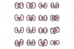 Kidney icons set vector flat Product Image 1