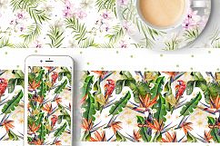 Hand Drawn watercolor TROPICS 2 Product Image 4
