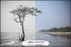 AGFA B&amp;W Films Profiles LR 7.3 ACR 10.3 Product Image 4