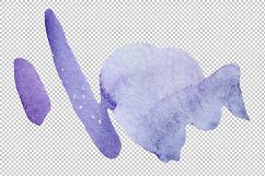 Flowers set PNG watercolor   Product Image 8