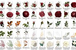 Burgundy Wedding Floral Clipart Product Image 2