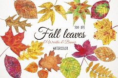 Watercolor Fall Leaves Clipart, Fall Leaves Clip Art Product Image 1