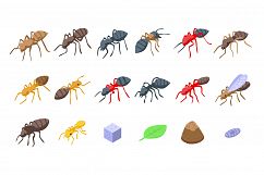 Ant icons set, isometric style Product Image 1