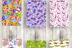 Succulents &amp; Cactuses Product Image 10