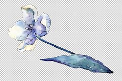 White tulips PNG watercolor flower set Product Image 4