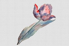 Wildflower autumn tulips PNG watercolor set Product Image 5