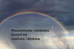 44 Rainbow Photo Overlays Product Image 2