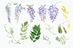 Watercolor Wisteria Clip Art Set Product Image 2