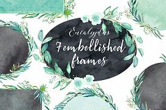 Eucalyptus. Watercolour clipart. Product Image 3