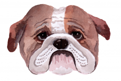 Hand Painted Watercolor Dogs | Clip Art | PNG/JPEG Product Image 4