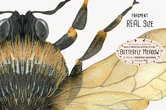 The Butterfly Meadow Product Image 1