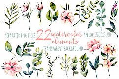 Eucalyptus watercolor clipart Product Image 3