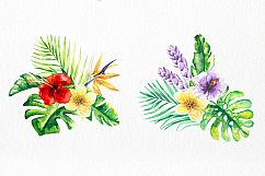 Tropical Floral Watercolor Collection Product Image 9