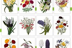 Entire Vintage Collection -Over 1000 Illustrations Product Image 9