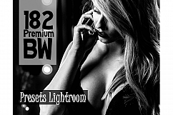 182 Premium BW Presets Lightroom (Presets for Lightroom 5,6,CC) Product Image 1
