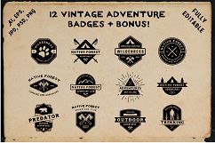 12 Vintage Adventure Badges Product Image 1
