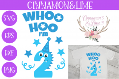 Second Birthday Monster SVG Cut File Product Image 1