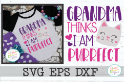 Grandma thinks I am Purrfect Product Image 1