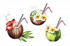 Coconut. Watercolor collection Product Image 5