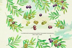 Watercolor Olive Branch Product Image 7