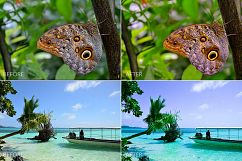 Tropical Lr Presets Product Image 12