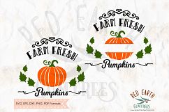 Farm fresh pumpkins, Halloween in SVG, DXF, PNG, EPS, PDF Product Image 1