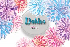 Dahlia Product Image 1