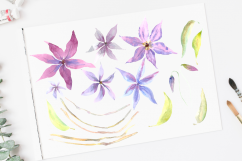 Watercolor Clematis Clip Art Set - Pattern, Border, Wreath Product Image 2