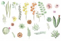 Forest Animals and Succulents Product Image 4