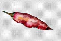 Red pepper vegetables PNG watercolor set Product Image 4
