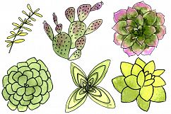 Watercolor Succulents and Cacti Illustrations Product Image 3