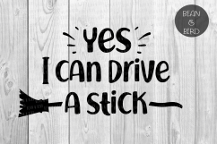 Yes I can drive stick Product Image 1