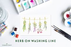 Watercolor herb flower clipart Product Image 7