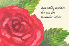 Rose Garden Watercolor Clipart Product Image 7