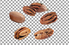 Nuts clip art pack, Watercolor nuts chart, food print Product Image 20