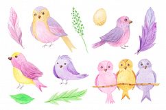 Watercolor Birds Set Product Image 3