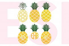 Pineapple Designs and Monograms Set Product Image 1