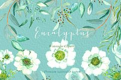 Eucalyptus. Watercolour clipart. Product Image 6